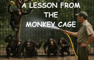 Dental Excellence Advisory